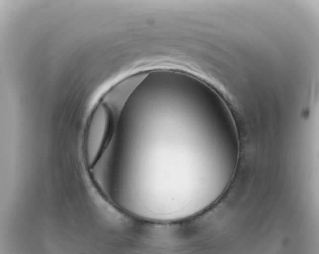 X0000092021518200709131545