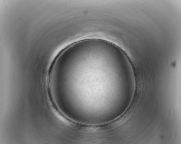 X0000092021519200709131545