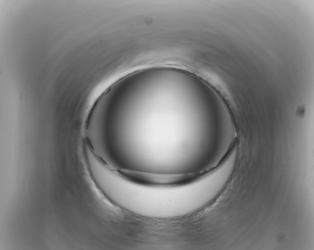X0000092021520200709131545