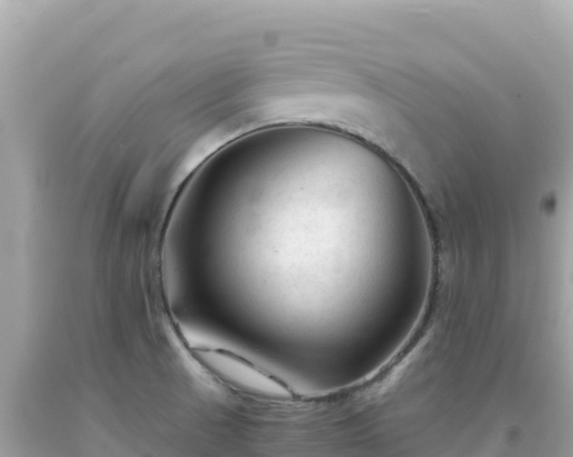 X0000092021521200709131545