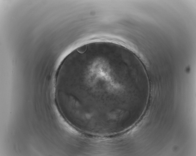 X0000092021522200709131545