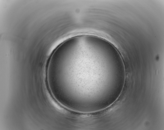 X0000092021523200709131545