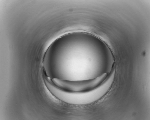 X0000092021524200709131545