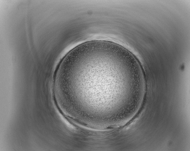 X0000092021525200709131545