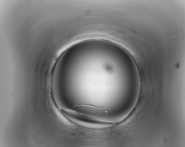X0000092021526200709131545