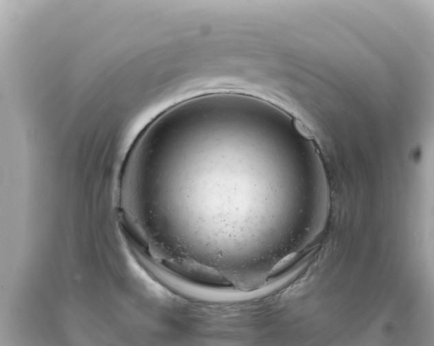 X0000092021527200709131545