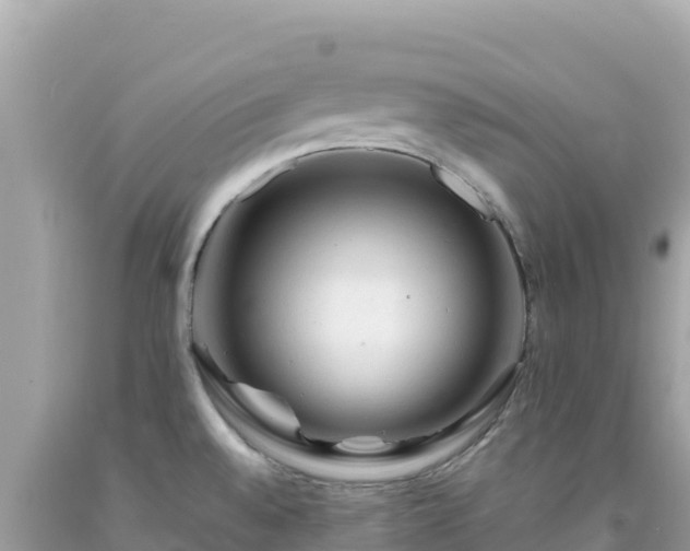 X0000092021528200709131545