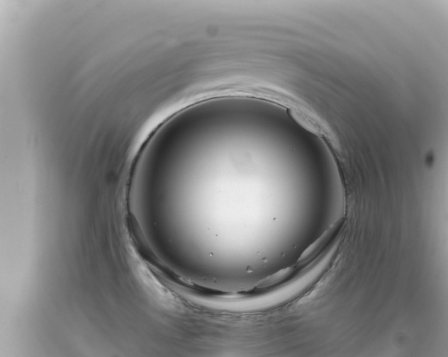 X0000092021530200709131545