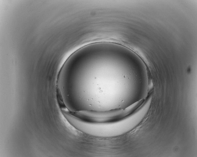 X0000092021532200709131545