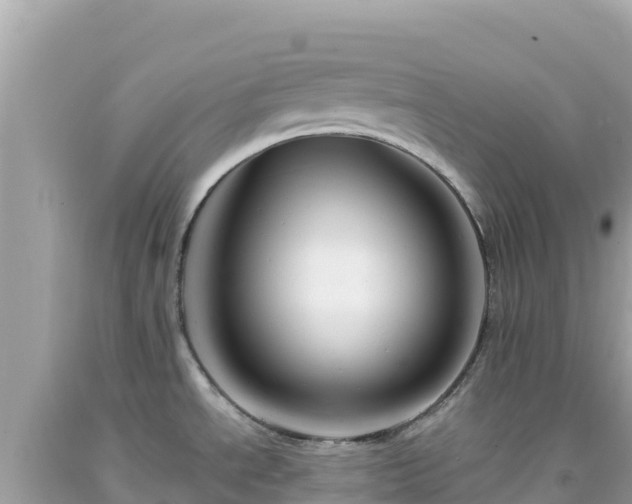 X0000092021534200709131545