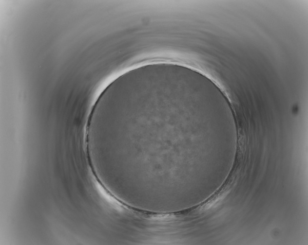 X0000092021535200709131545