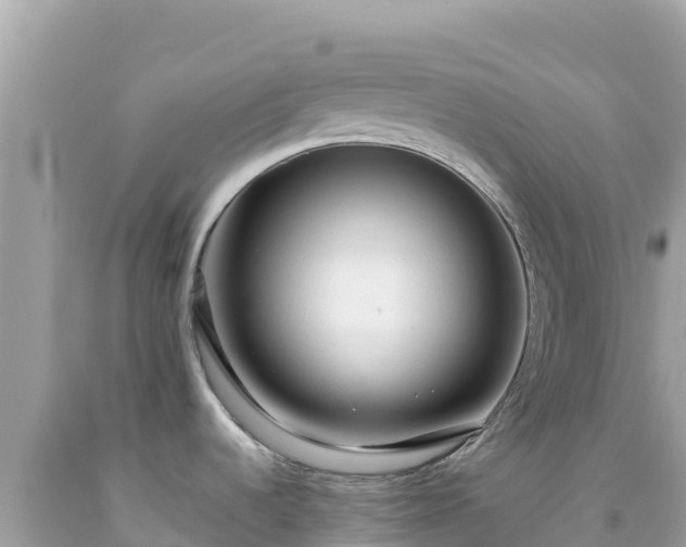 X0000092021536200709131545