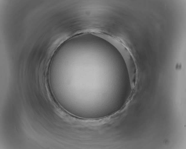 X0000092020001200709201601