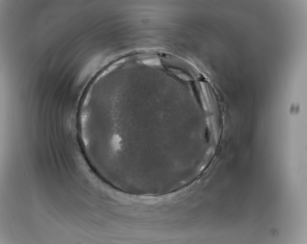 X0000092020002200709201601