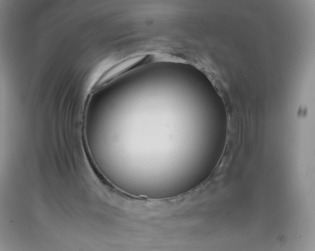 X0000092020003200709201601