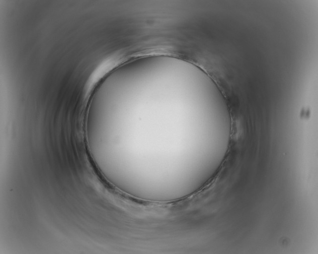 X0000092020004200709201601