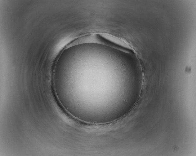 X0000092020005200709201601