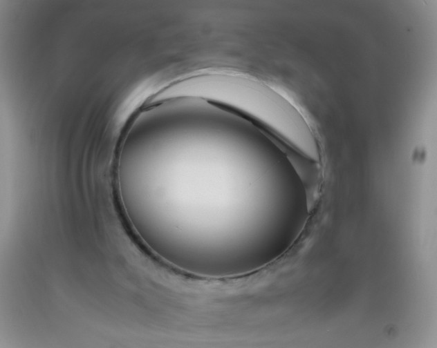 X0000092020007200709201601