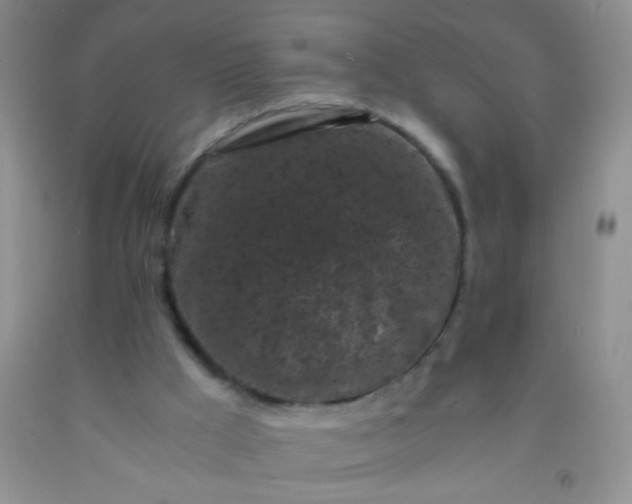 X0000092020009200709201601