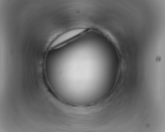 X0000092020010200709201601