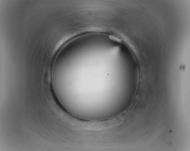 X0000092020011200709201601