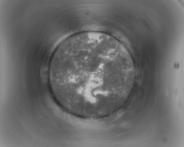 X0000092020012200709201601