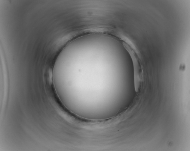 X0000092020013200709201601