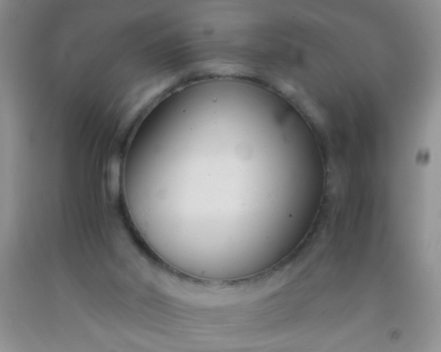 X0000092020014200709201601