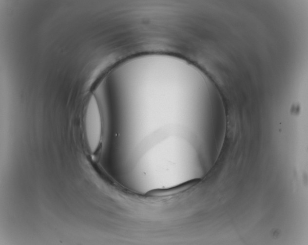 X0000092020015200709201601