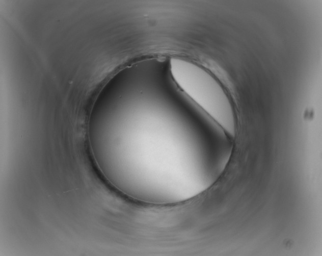 X0000092020017200709201601