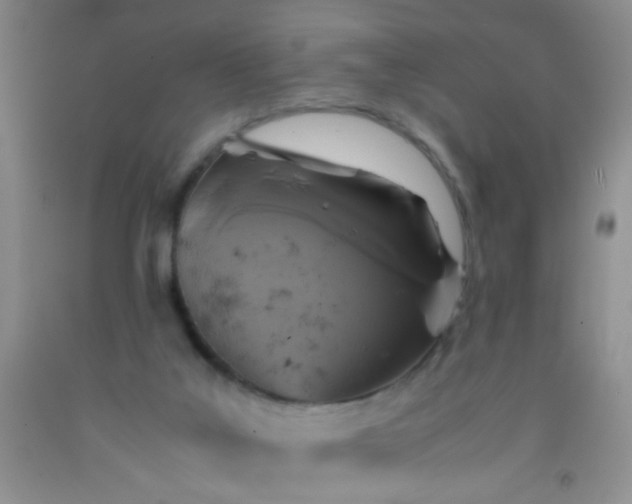 X0000092020019200709201601