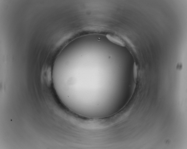 X0000092020020200709201600