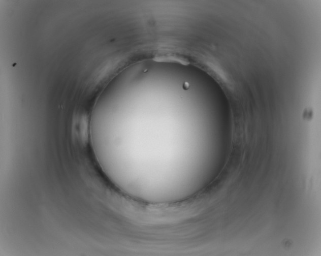 X0000092020022200709201600