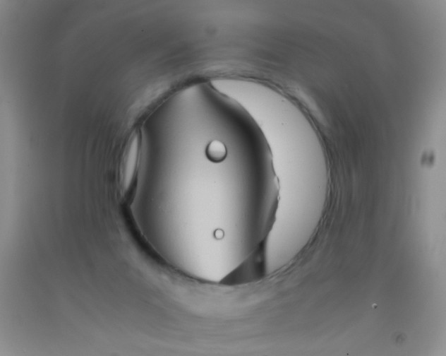 X0000092020023200709201600