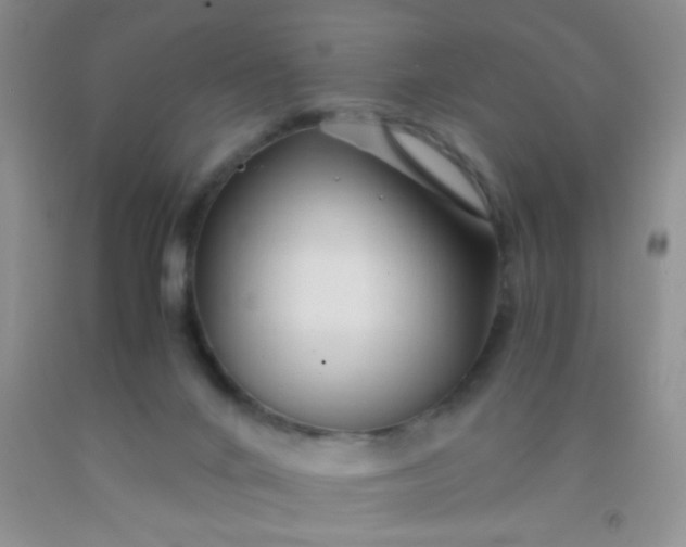 X0000092020024200709201600