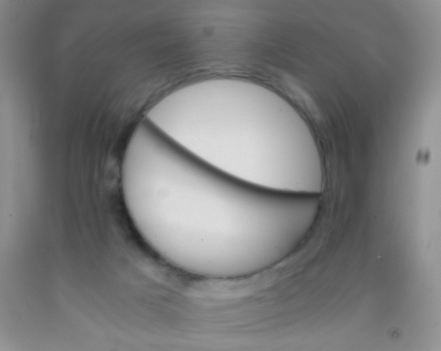 X0000092020025200709201600