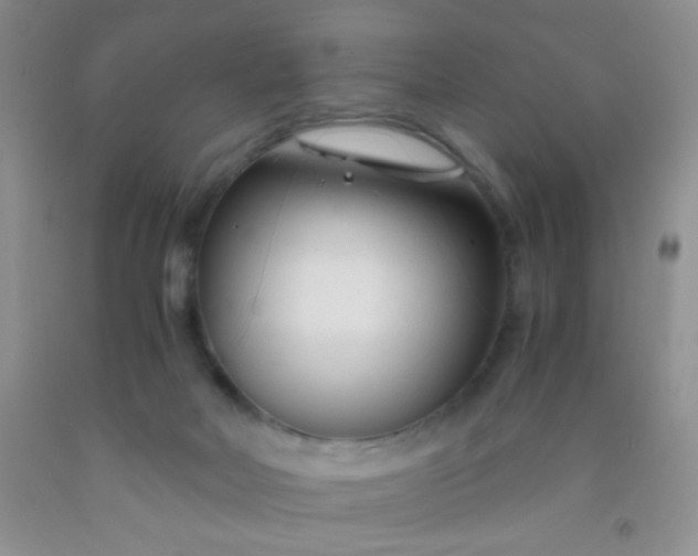 X0000092020026200709201600