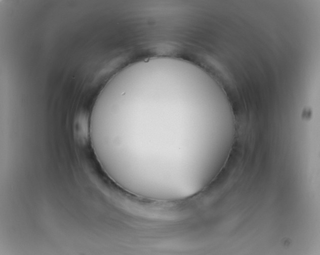 X0000092020028200709201600