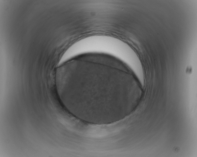 X0000092020029200709201600