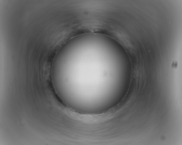 X0000092020030200709201600