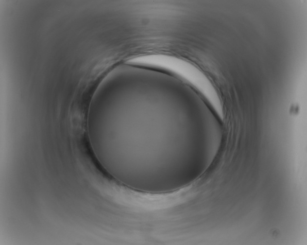 X0000092020031200709201600