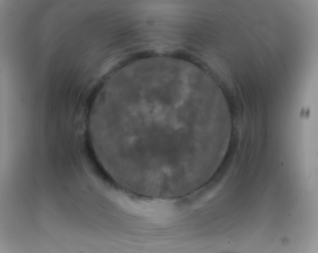 X0000092020032200709201600