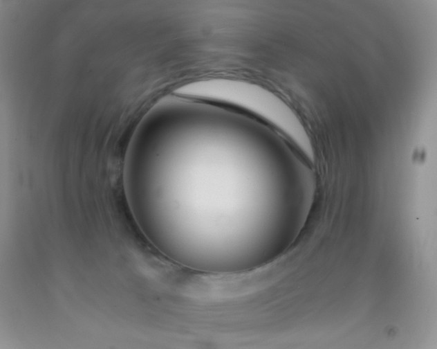 X0000092020033200709201600