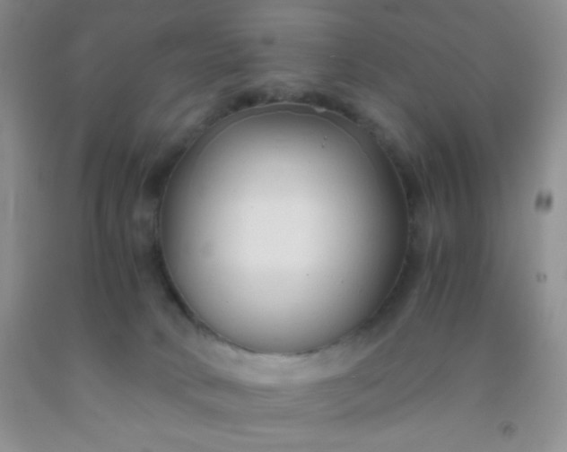 X0000092020034200709201600