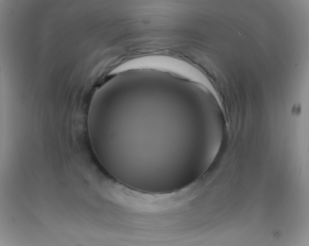 X0000092020035200709201600