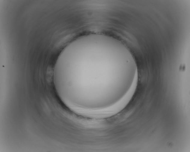 X0000092020036200709201600