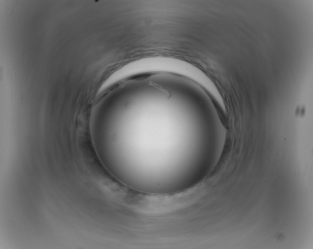 X0000092020037200709201600