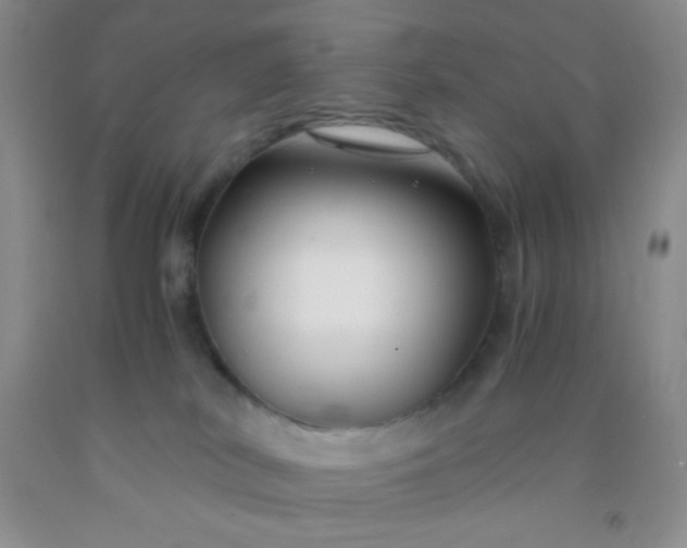 X0000092020038200709201600