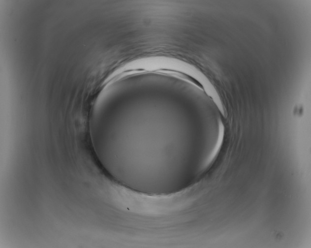 X0000092020039200709201600