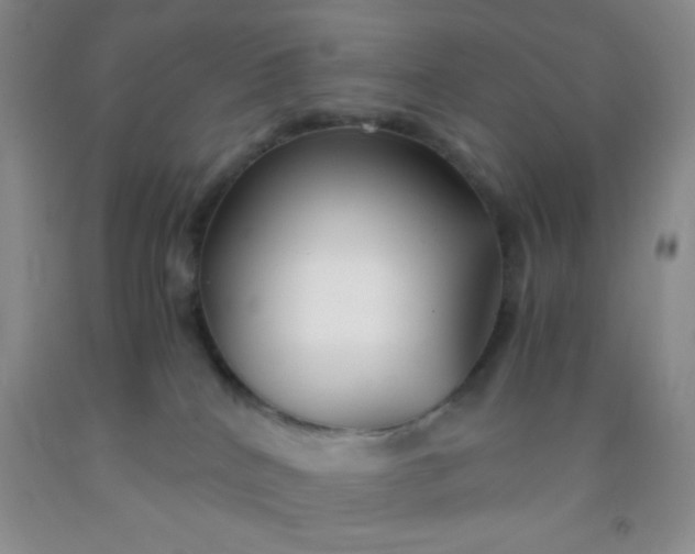 X0000092020040200709201600